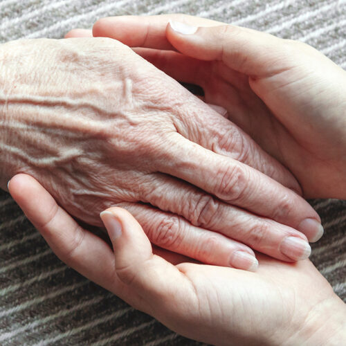 hand_halten hand_halten